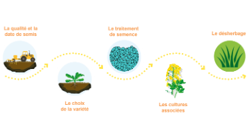 biocontrôle solution protection agroécologie